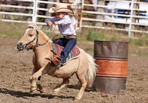 Barrel Racing - Future Star
